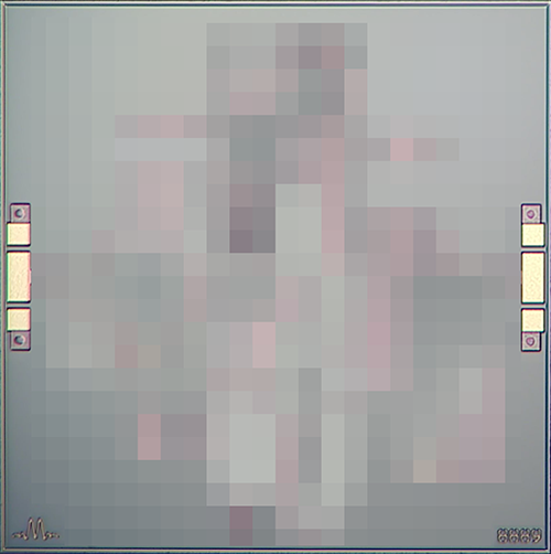 Product Variant : MFBP-00001CH