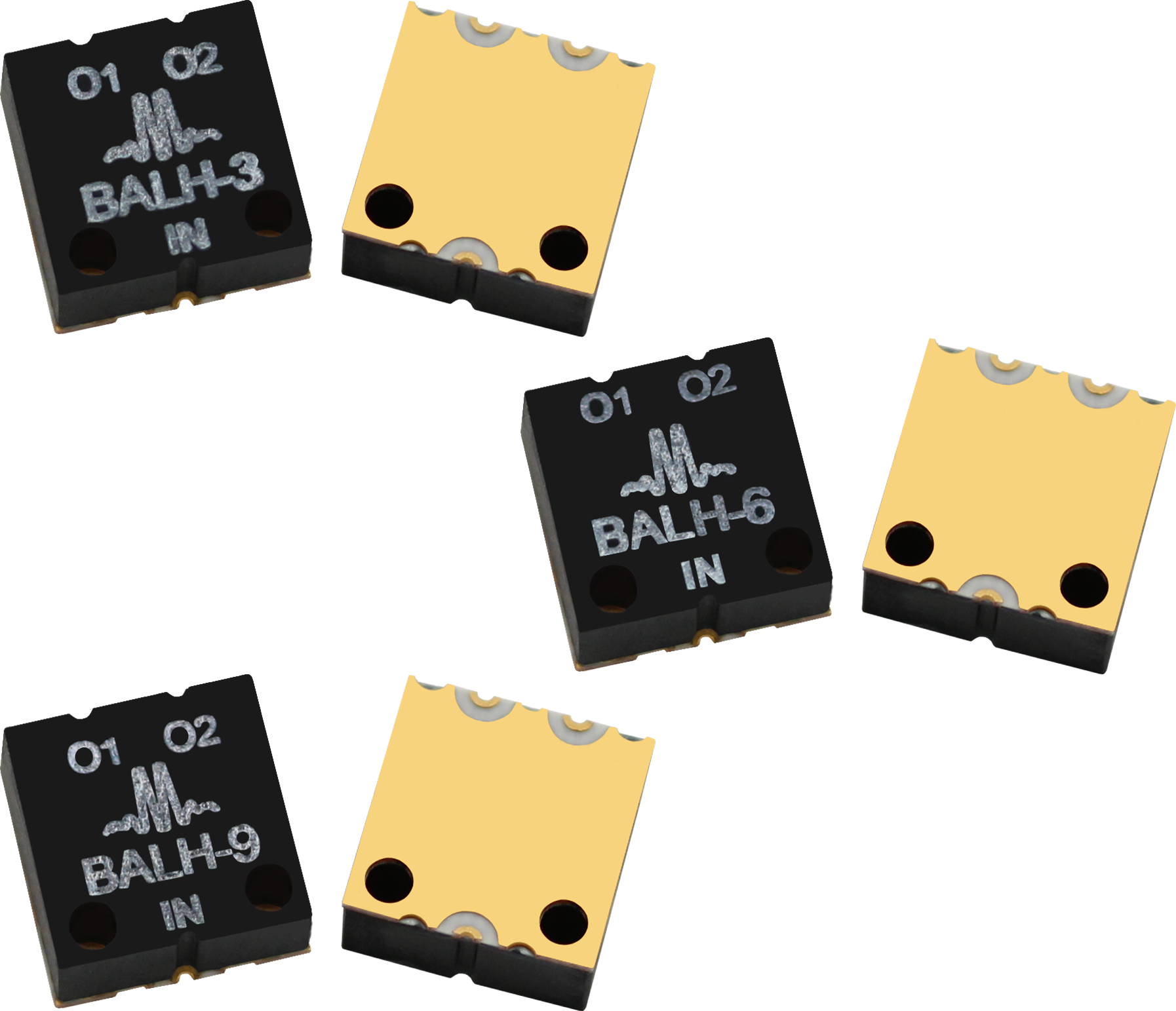 Family Baluns product example